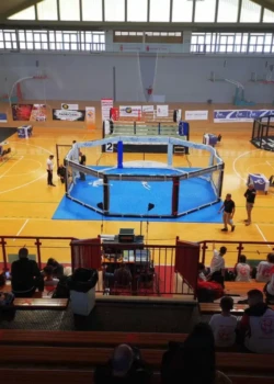 sport-hall-Triest